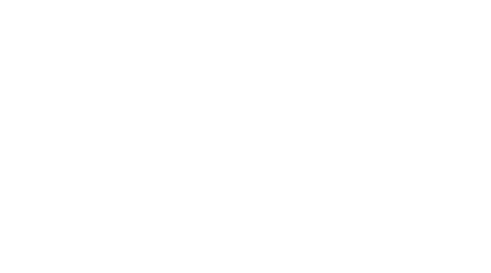 VzM